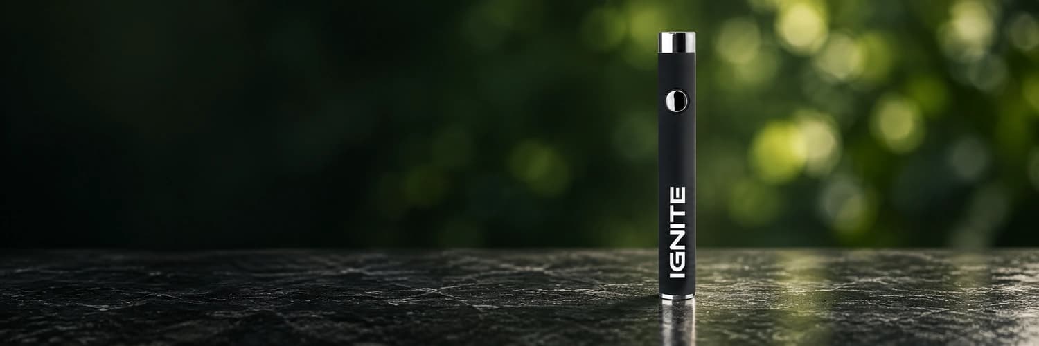 Ignite: produto em cena