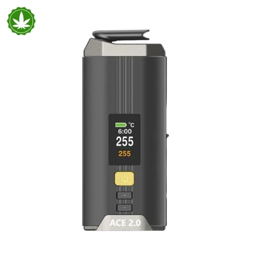 Vaporizador de Ervas XMax Ace 2 - XVape