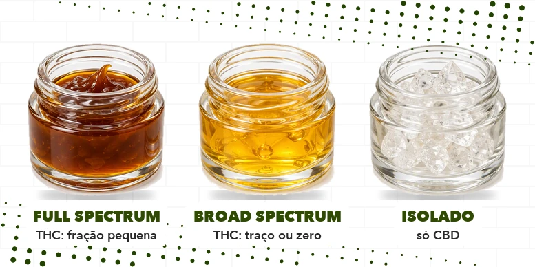 Três potes de vidro lado a lado: extrato âmbar escuro (full spectrum), extrato dourado claro (broad spectrum) e cristais claros de canabidiol (isolado)