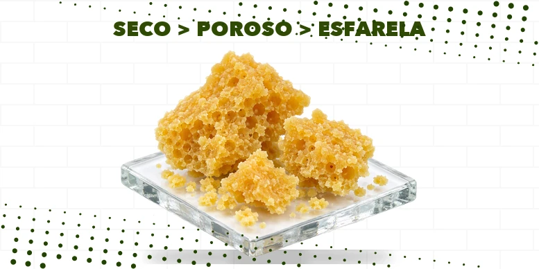 Fragmentos de crumble amarelo-claro, secos e porosos, com textura de favo de mel sobre uma placa de vidro