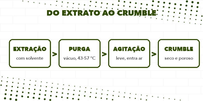 Diagrama do caminho do extrato por solvente até o crumble: extração, purga a vácuo em temperatura baixa, agitação e bloco seco