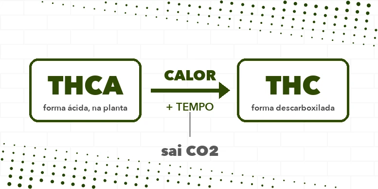 Esquema da descarboxilação: o THCA perde uma molécula de CO2 com o calor e vira THC