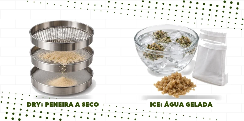 Comparação dos dois processos: à esquerda telas de peneira com resina em pó, à direita água com gelo e sacos de malha