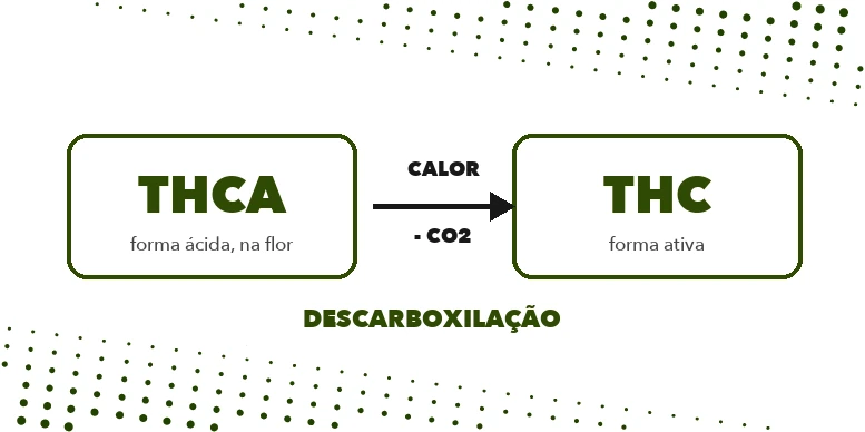 Esquema da descarboxilação: o THCA da flor perde CO2 com o calor e vira THC