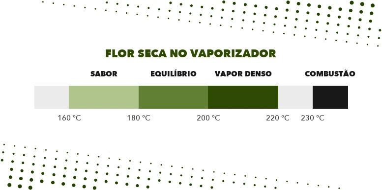 Faixas de temperatura do vaporizador para flor seca: 160 a 180, 180 a 200 e 200 a 220 graus, com combustão perto de 230
