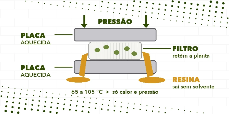 Diagrama da extração do rosin: material no filtro entre duas placas aquecidas, com calor e pressão separando a resina do material vegetal