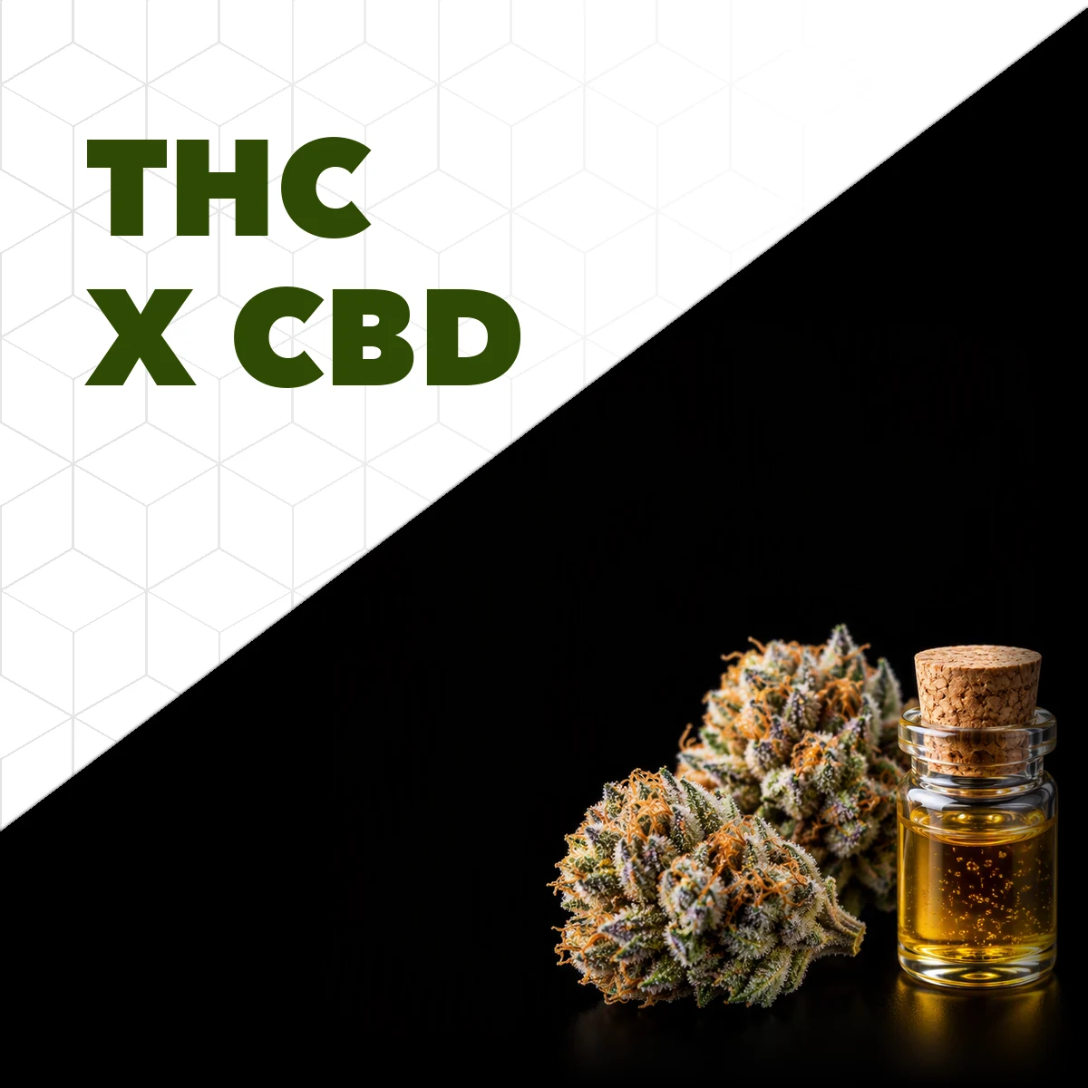 Flores secas com tricomas e frasco de extrato ao lado do título THC x CBD