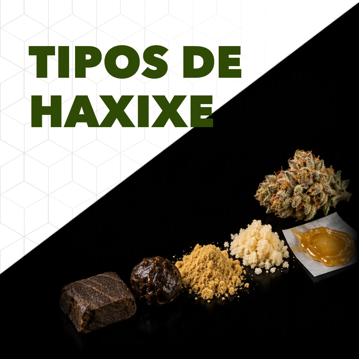 Cinco tipos de haxixe lado a lado, do bloco prensado escuro ao rosin âmbar, com uma flor de maconha ao fundo